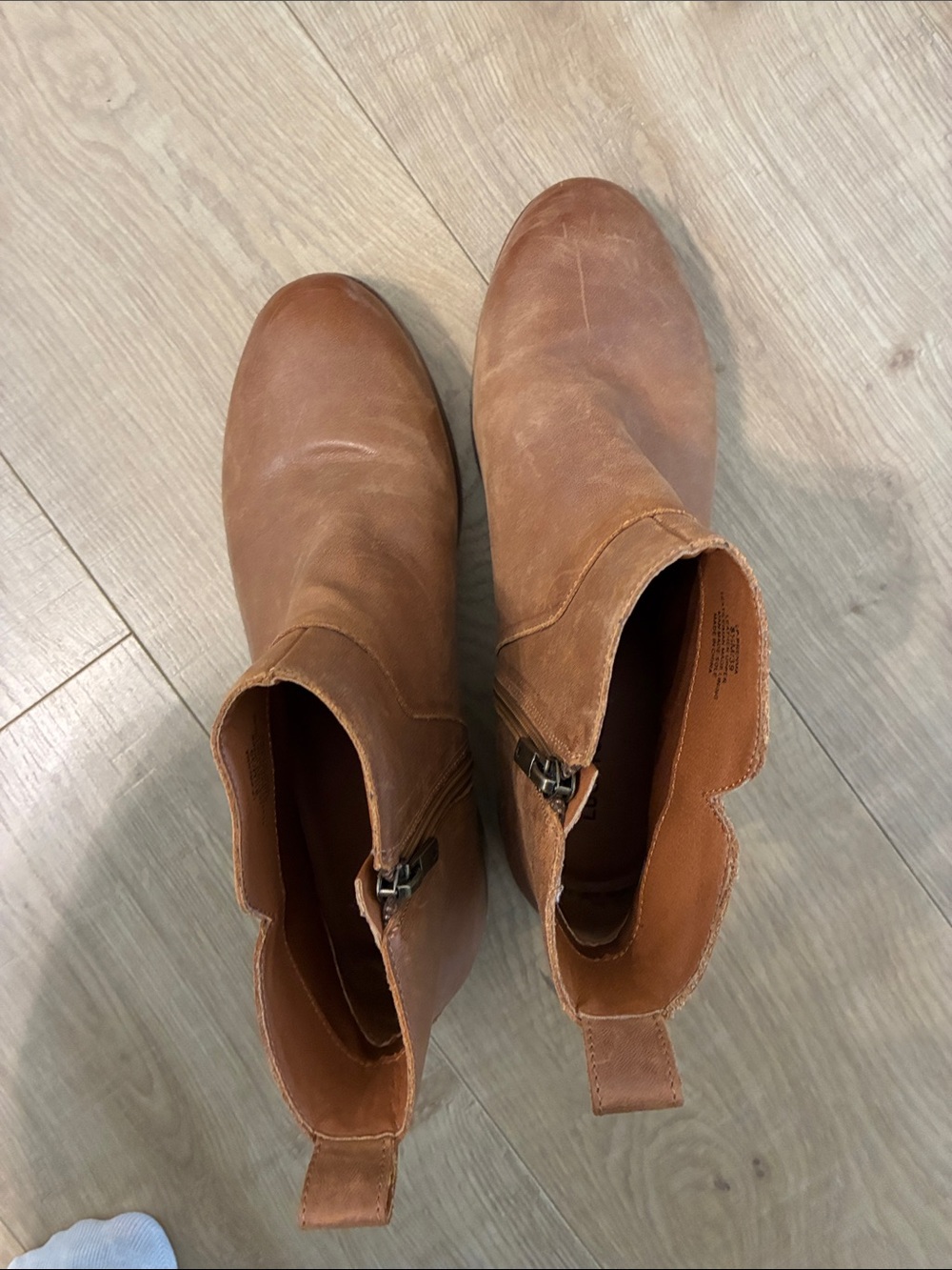 Women’s Brown Lucky Brand Chelsea Ankle Boots